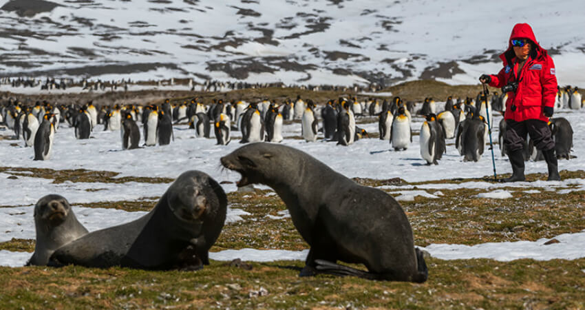 Das Beste der Polarregionen – Teil 3