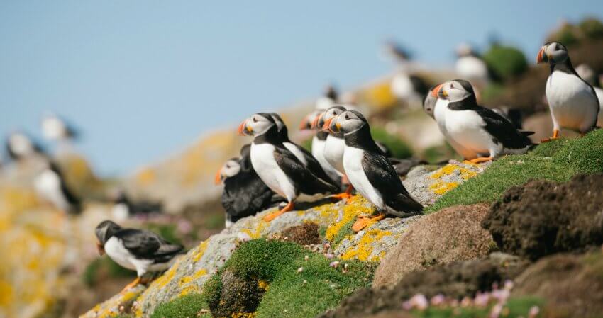Die Top Erlebnisse einer Britische Inseln Kreuzfahrt
