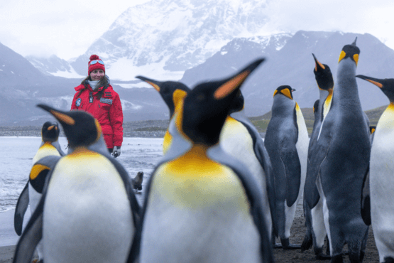 Südgeorgien & Falklandinseln