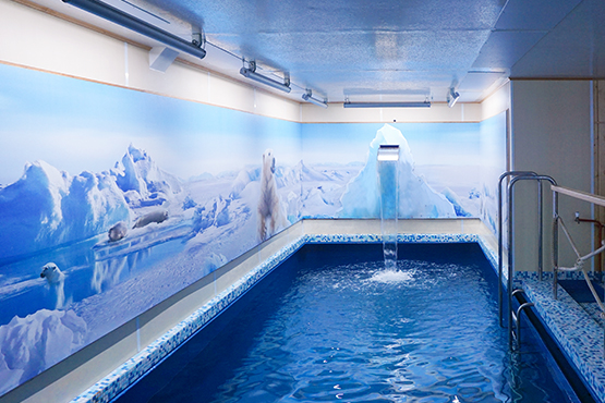 Swimmingpool & Saunen