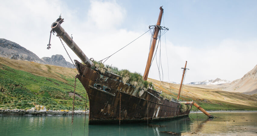 Eine Antarktiskreuzfahrt auf den Spuren Ernest Shackletons