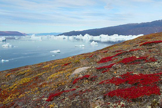 Spitzbergen, Grönland & Island