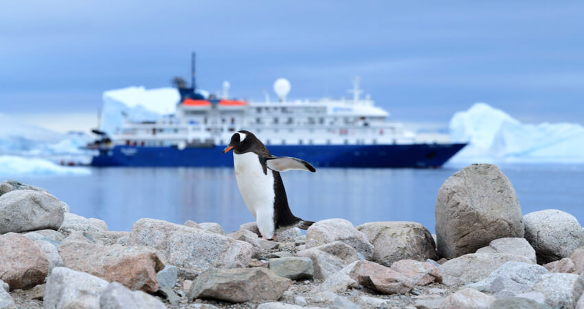 Was Sie auf einer Reise in die Antarktis lernen können