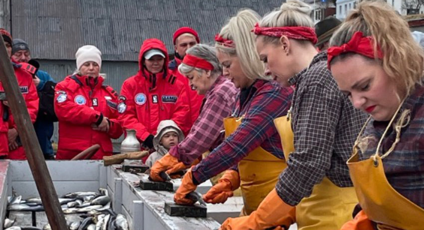 Arktis. Island. FASZINIERENDE KULTUR