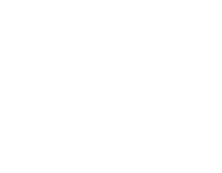 Polar bear international