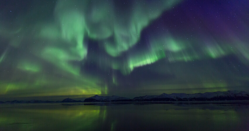 Poseidon Expeditions Buchclub: Spitzbergen intensiv