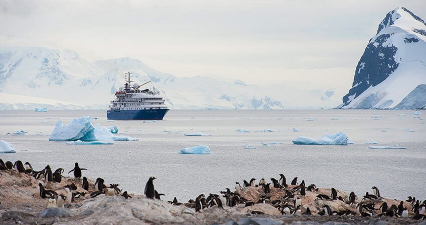 antarctica-owners3