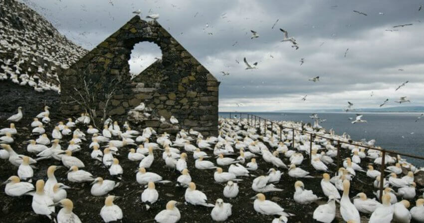 top-experiences-british-isles-5
