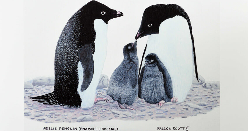 01_bookclub_penguins