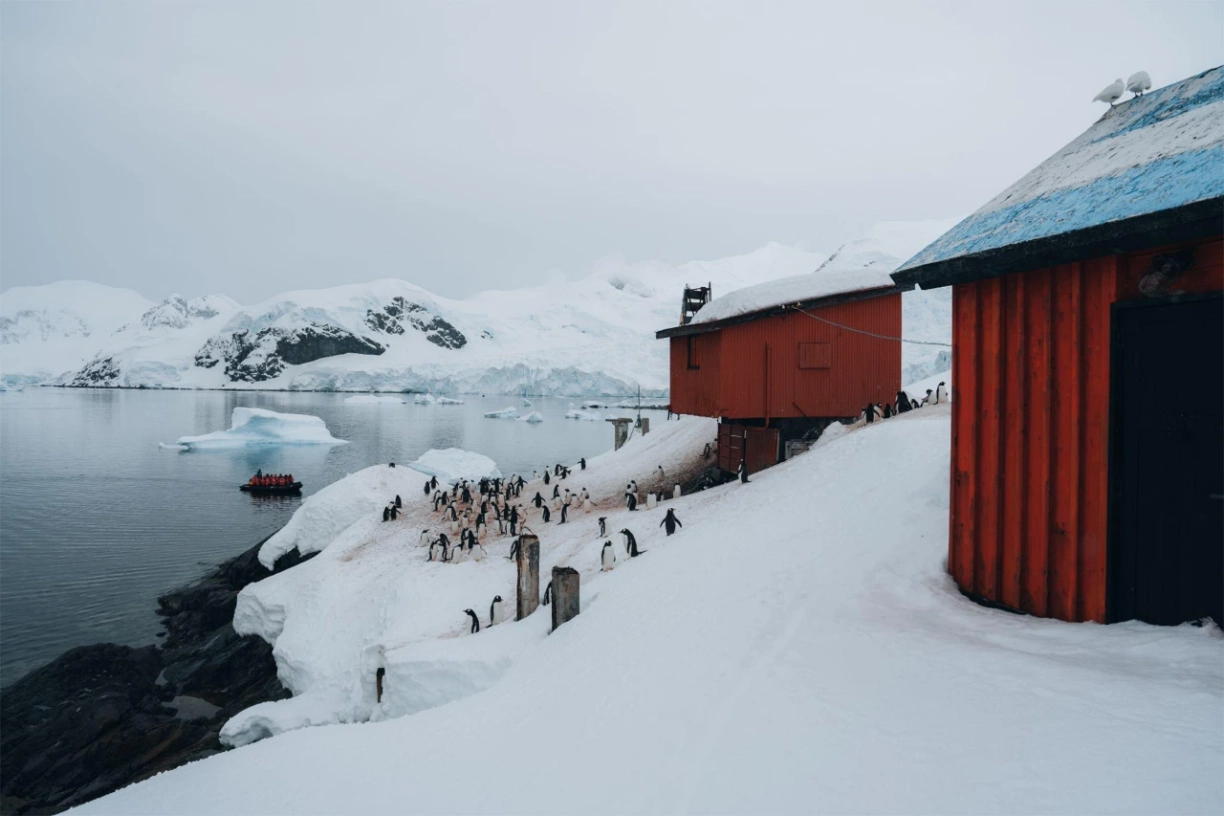 Abenteuer-Antarktis-5-Pinguine-an-der-Forschungsstation-Kreuzfahrt-b5