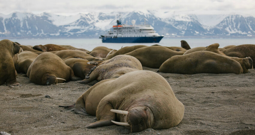 svalbard-1