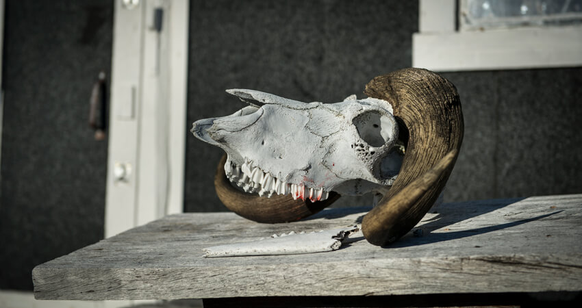 05_DSC7988_Anthony-Smith_Myggbukta_10
