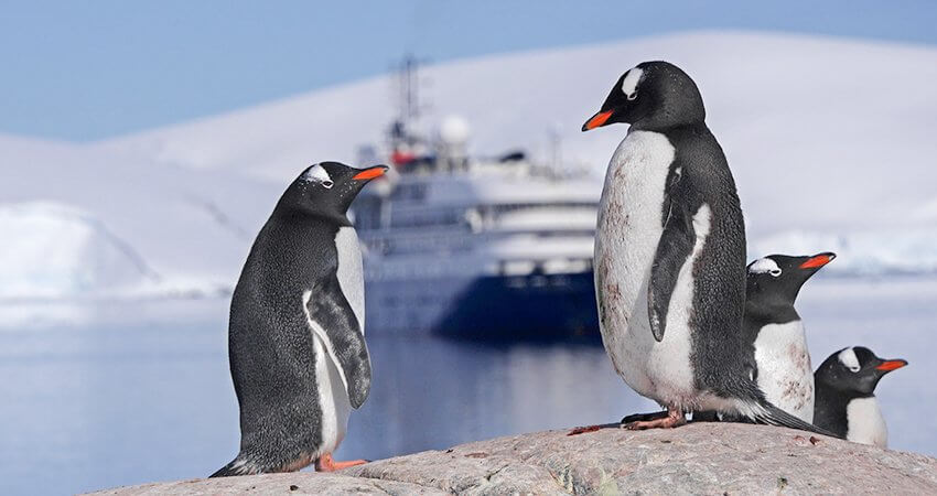 antarctica-owners4