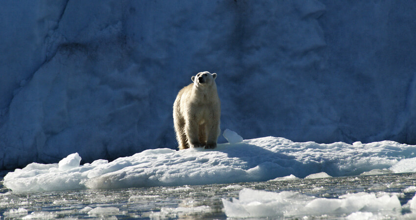 03_top-reasons-for-svalbard