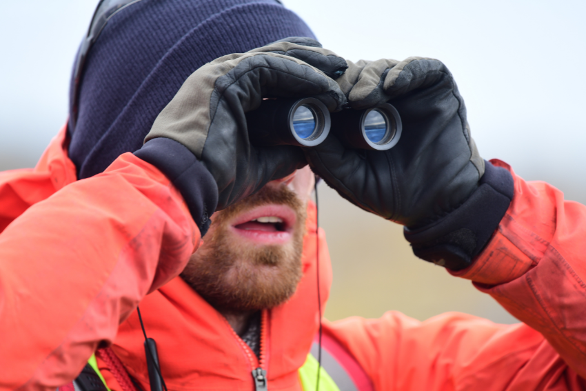 Spitzbergen-Regeln-5-Fernglas-Tierbeobachtund-Wildlife-Kreuzfahrt